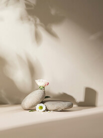 暖色倒影石桩场景