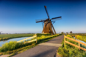 道路旁的风车屋与花草摄影