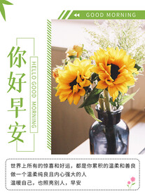 你好早安