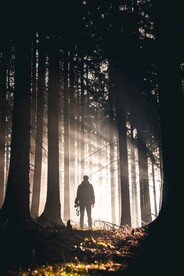 人物与照射进光线的树林