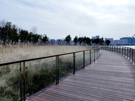 秋天木质观光步道风景