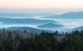山中森林和远山云海