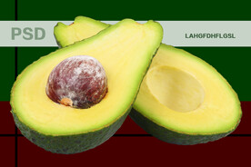 牛油果PSD