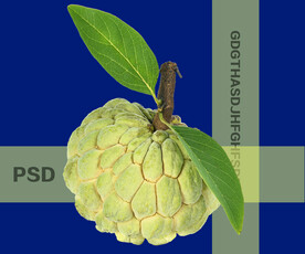 释迦果PSD