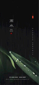 雨水节气海报设计