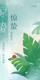 惊蛰手绘插画