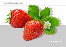 草莓psd