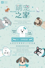 宠物店海报.