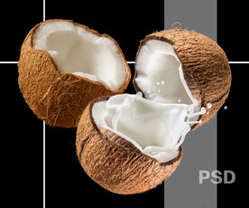 椰子PSD