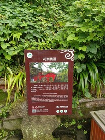 都江堰花洲栈道