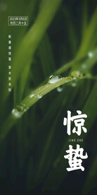 惊蛰海报