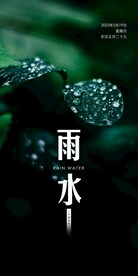 雨水