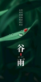 谷雨