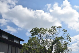 白云 古建筑 自然景观 蓝天 