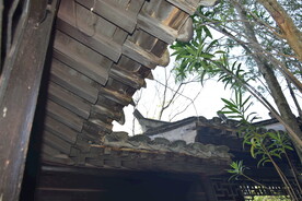 白云 古建筑 园林建筑