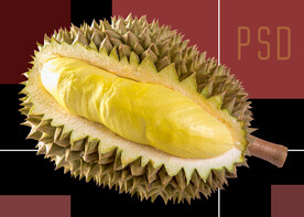 榴莲PSD