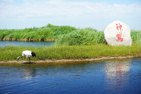 黑龙江扎龙湿地