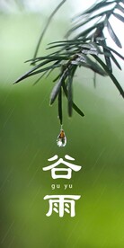 谷雨