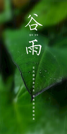 谷雨