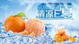 夏日素材冰镇橘子