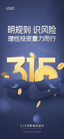 海报315