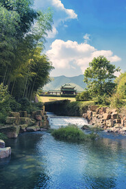 宜兴 竹海  青山 绿水