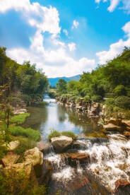 宜兴 竹海  青山 绿水 绿色