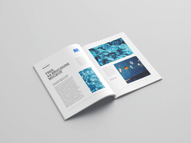 A4书本杂志画册样机模板