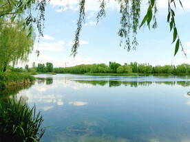 北京长沟湿地公园