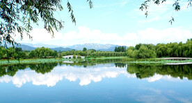 北京长沟湿地公园