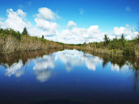 黑龙江伊春乌伊岭湿地公园
