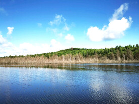 黑龙江伊春乌伊岭湿地公园