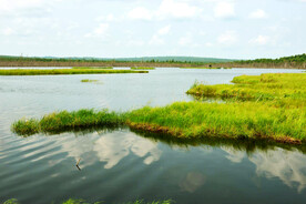 黑龙江伊春乌伊岭湿地公园