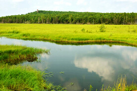 黑龙江伊春乌伊岭湿地公园