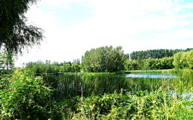 北京长沟湿地公园