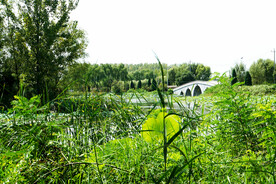 北京长沟湿地公园