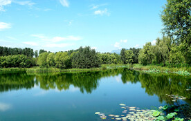 北京长沟湿地公园