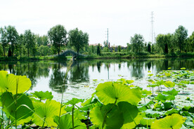 北京长沟湿地公园