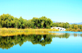 北京长沟湿地公园