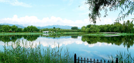 北京长沟湿地公园