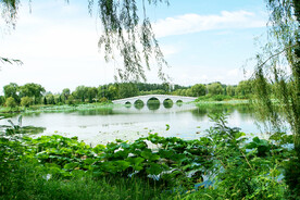 北京长沟湿地公园