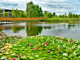 黑龙江富锦国家湿地公园