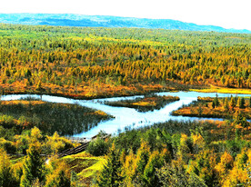 黑龙江伊春乌伊岭湿地公园