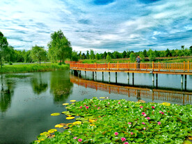 黑龙江富锦国家湿地公园