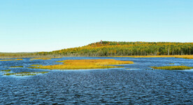 黑龙江伊春乌伊岭湿地公园