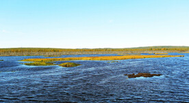 黑龙江伊春乌伊岭湿地公园