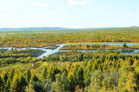黑龙江伊春乌伊岭湿地公园
