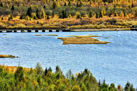 黑龙江伊春乌伊岭湿地公园