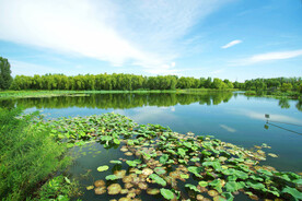 北京长沟湿地公园