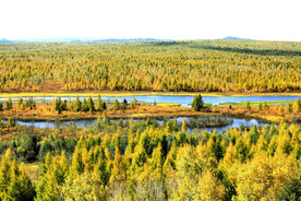 黑龙江伊春乌伊岭湿地公园